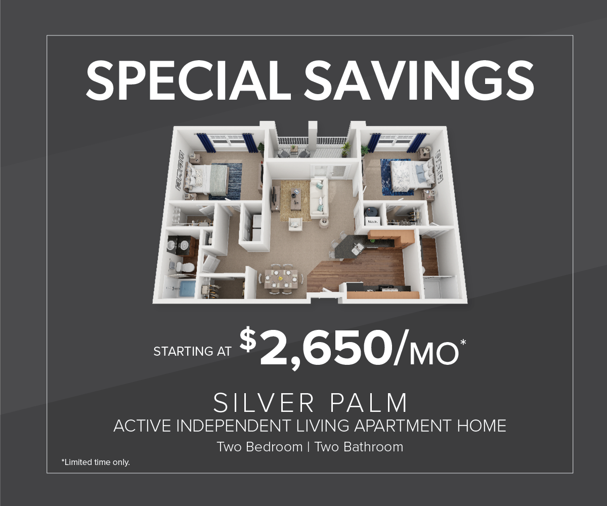 DOV-0089-Slider_Silver_Palm_Spotlight_July_2025_1200_x_1000